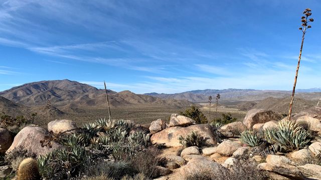 Popular Hiking Trails in Anza Borrego Desert State Park